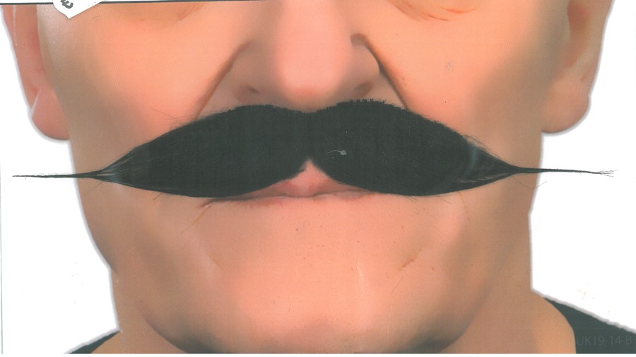 Bigote Negro Lord 1 Bigote Negro Lord - Complementos