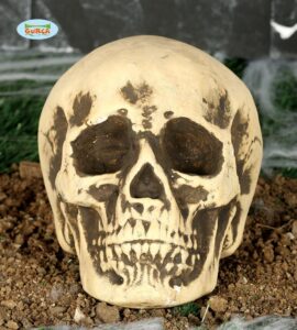 calavera foam