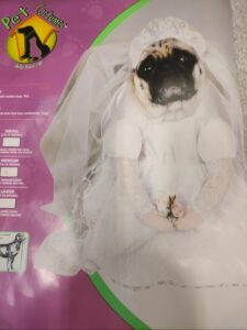 disfraz perrito novia