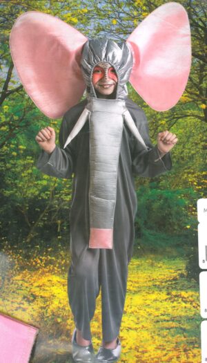 Elefante Infantil - Disfraces Niño