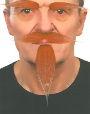 Juego Cejas Bigote Perilla - Complementos