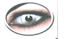 Lentillas Blancas - Inicio