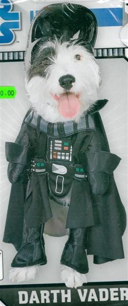 Perrito darth vader - Inicio