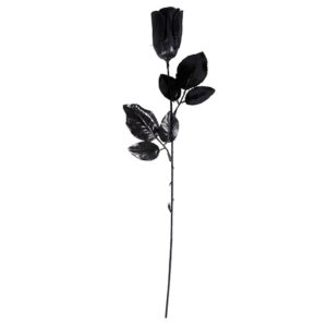 Rosa Negra - Complementos