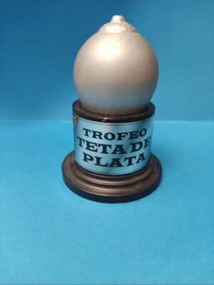 Trofeo Teta - Inicio