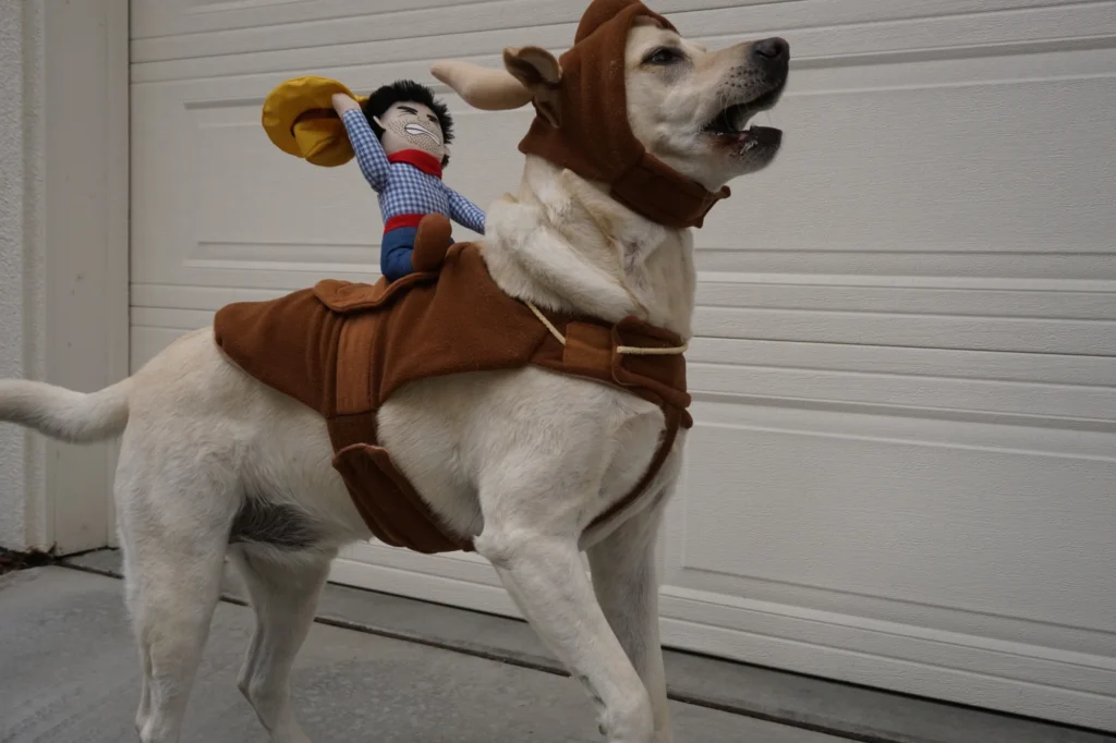 disfraces para perros mascotas - Disfraces para perros: porque tu mascota también merece disfrazarse