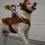 disfraces para perros mascotas